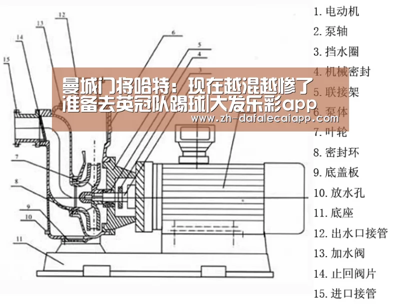 曼城门将哈特：现在越混越惨了 准备去英冠队踢球|大发乐彩app