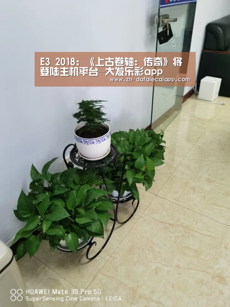 E3 2018:《上古卷轴:传奇》将登陆主机平台-大发乐彩app(图2) 大发乐彩app