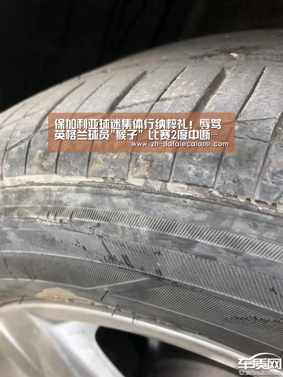 保加利亚球迷集体行纳粹礼!辱骂英格兰球员猴子 比赛2度中断-大发乐彩app(图2) 大发乐彩app