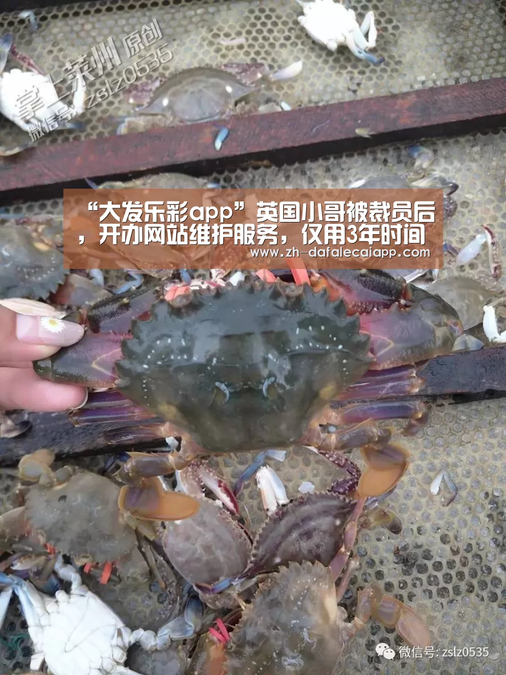 “大发乐彩app”英国小哥被裁员后,开办网站维护服务,仅用3年时间,每月赚4万元(图3) 大发乐彩app